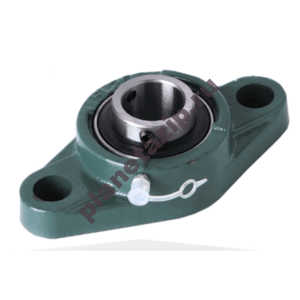 FL318  300x300 - Подшипниковый узел UCFL206 ISB EcoLine