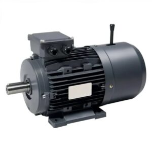 gffghhh 1 300x300 - Электродвигатель с тормозом AGM2E 90 L 4B B14 BR15 (1,5 kW, r/min=1500, H180C, mount M1, IP55) GAMAK