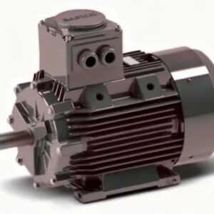 saddffd 50 300x300 - Взрывозащищенный электродвигатель GM2Exd 100 L 4b (2,2kW, 1500 r/min, IE2, D=28mm, A=160mm, B=140mm H180C, IP66, Exd, mount M1) GAMAK