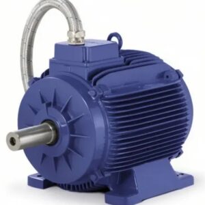 tretrrt 89 300x300 - Электродвигатель GM2ED 200 L 2a B3 (30 kW, 2970 r/min, IE2, D=55mm, A=318mm, B=305mm, 3PTC, H180C, mount M1, IP55) GAMAK